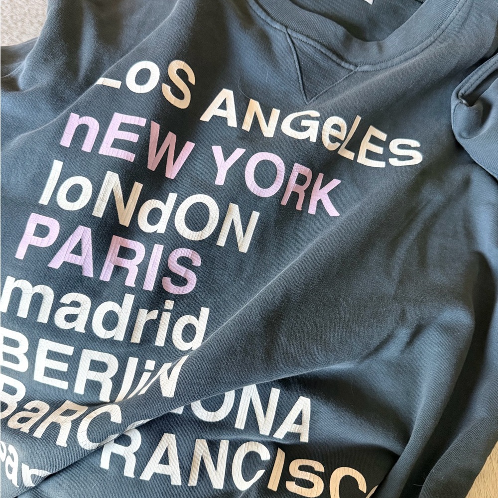 Anine Bing sweatshirt  - Black with Multicolor City Print